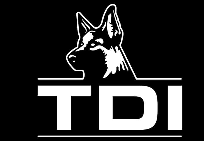 Train Dogs International